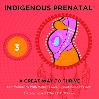 Indigenous Prenatal Three - Workbook : Mindful Pregnancy / Birth Guide (Simple, Safe, Effective)