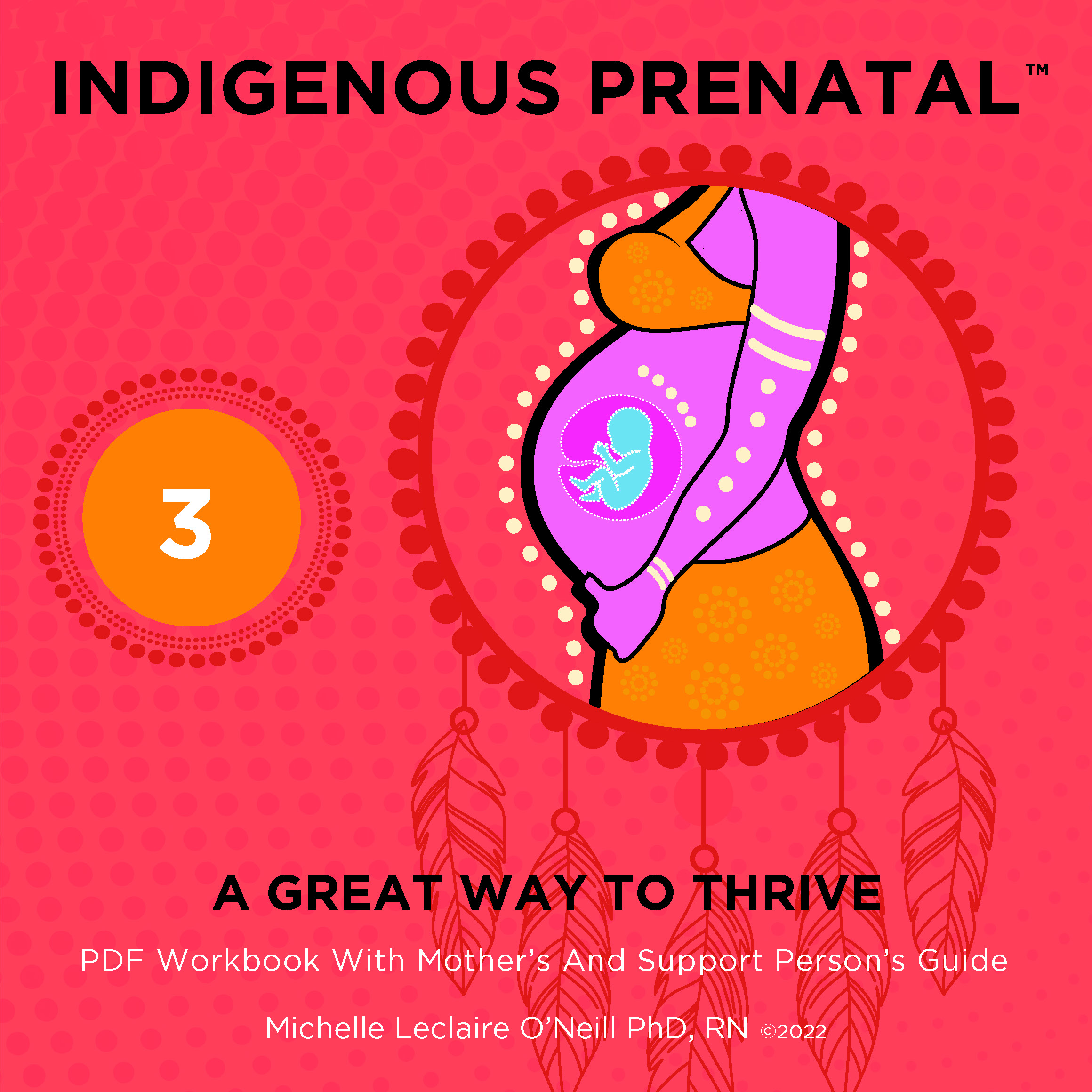 Indigenous Prenatal Three - Workbook : Mindful Pregnancy / Birth Guide (Simple, Safe, Effective)